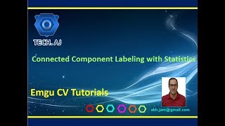 Emgucv # 32: Connected Component Labeling with Statistics