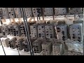 国産 きくらげ 2017
