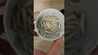 СЕКРЕТ УСПЕШНОЙ ЛОВЛИ 👍#РЫБАЛКА #РЕКИ #ТОП #ПРИРОДА