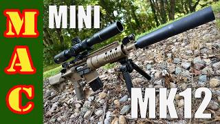 The MINI Mk 12 DMR
