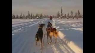 Heather And Tony Go Husky Sledging