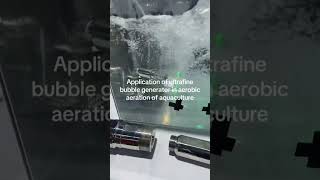 超细气泡发生器Application of ultrafine bubble generator in aerobic aeration of aquaculture