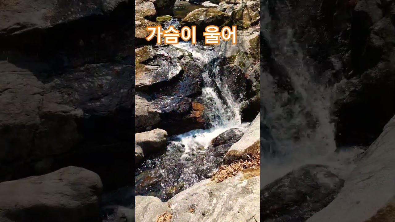 #가슴이 울어 #장민호 #영월법흥계곡 #shorts