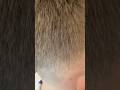 Fade Up and Short #barber