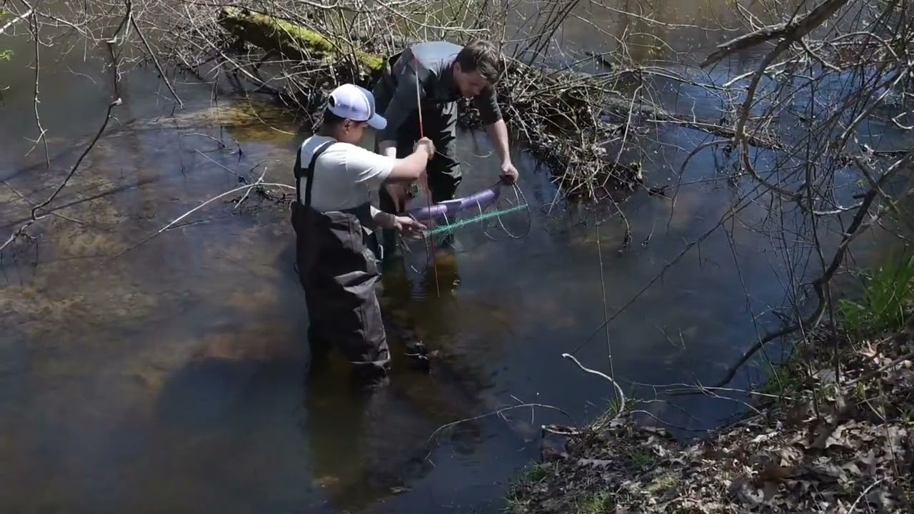 Turtle Population Survey - Nashua, NH 2022