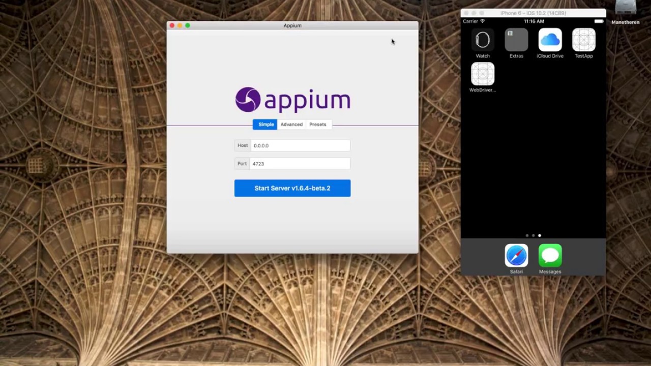 appium server download