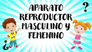CLASES VIRTUALES | 4to de Primaria | El aparato reproductor | Profesora Naara CLASES VIRTUALES | 4to de Primaria | El aparato reproductor | Profesora Naara