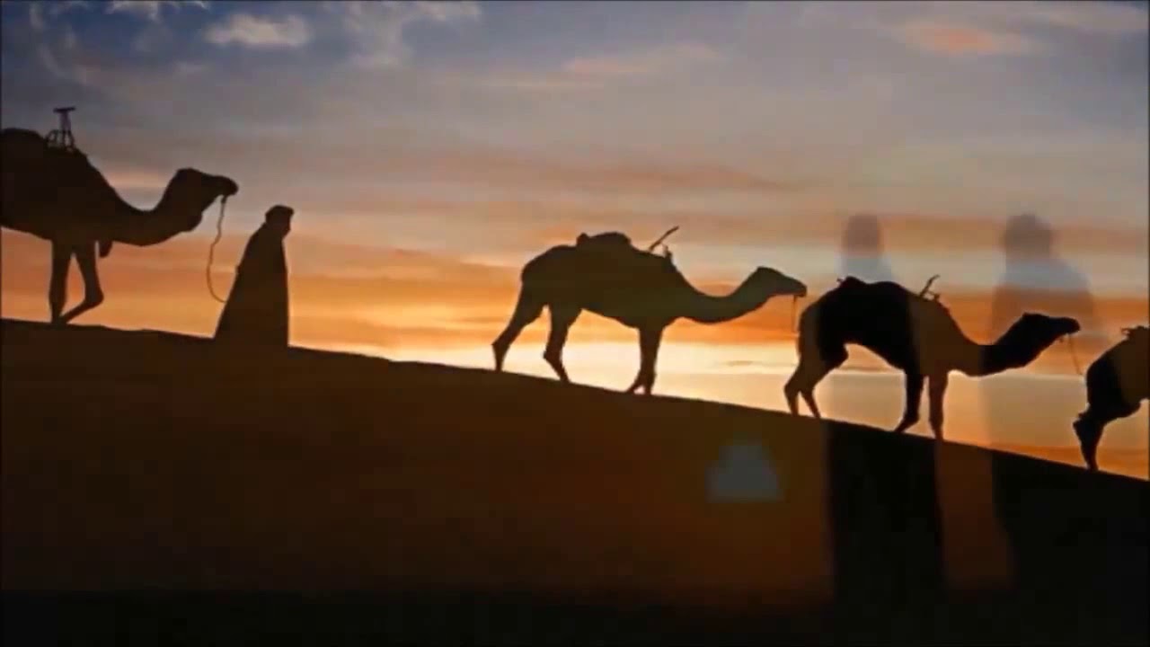 Sting & Cheb Mami - Desert Rose (HD) (LIVE) (Oriental + Desert