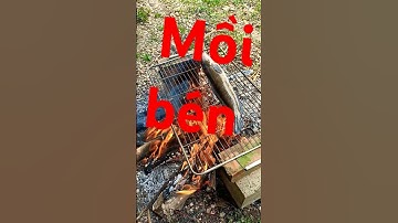 Mồi bén mời các bạn cùng thưởng thức món cá lóc nướng trui với mình nha 🥰