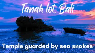 Tanah Lot Temple Bali (COLOR-GRADED) During Sunset