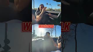 Shishabar Endgegner die 2 😂 #wheeltalk #podcast #danisajn #shorts #foryou