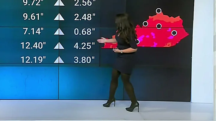 Felicia Combs -  Grey Dress Tights - Weather Chann...