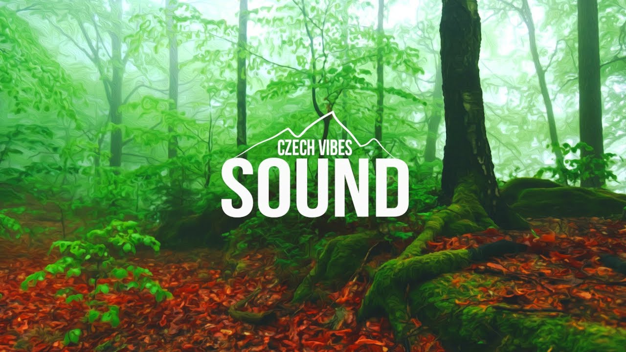 iamforest - Slights auf YouTube ansehen iamforest - Slights auf YouTube ansehen