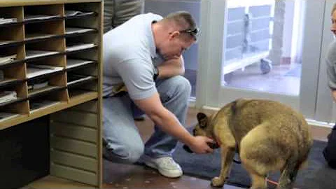 Lost Dog Dora reunited with family after seven mon...