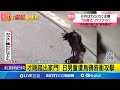 日本烏鴉攻擊事件