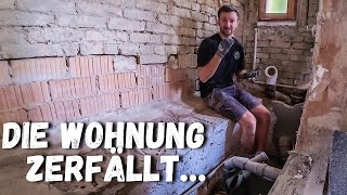 Versteckte Schäden im 125 Jahre alten Altbau Teil 4