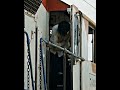 Train To Busan Snap X Atlantis Train To Busan Snap X Atlantis