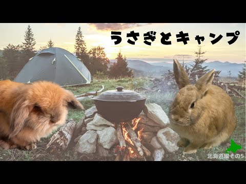 t ishikawa専用 野うさぎの走り 野うさぎの走り 600ml : 酒類