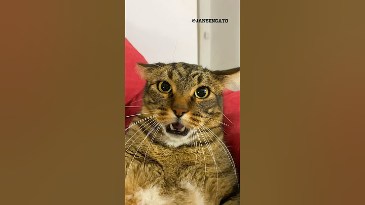 REACTION: ASSISTINDO A ABERTURA DAS OLIMPÍADAS 2024 #dacurtida