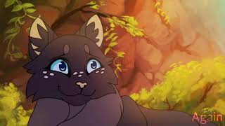 • Into the Unknown (Warriors, Cinderpelt MAP) - Part 6 •
