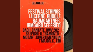 Divertimento in F Major, K. 138: II. Andante