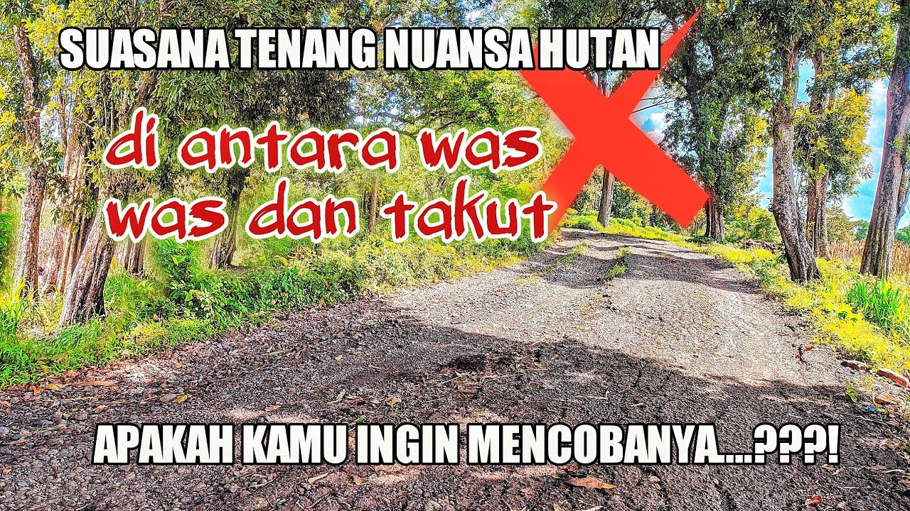 jalur dari guwo menuju wisata hutan Kedung Ombo part 1