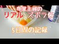 再投稿 ダラ奥のズボラ飯【ダラ奥ダメ主婦団地妻】