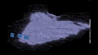 Kilauea Lava Flow Surface Model