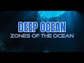 The Ocean Zones and Their Unique Marine Life