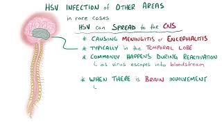 Herpes (oral & genital) - causes, symptoms, diagnosis, treatment, pathology