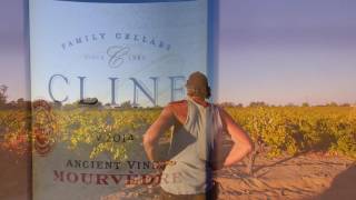 Cline Family Cellars: Ancient Vines Collection