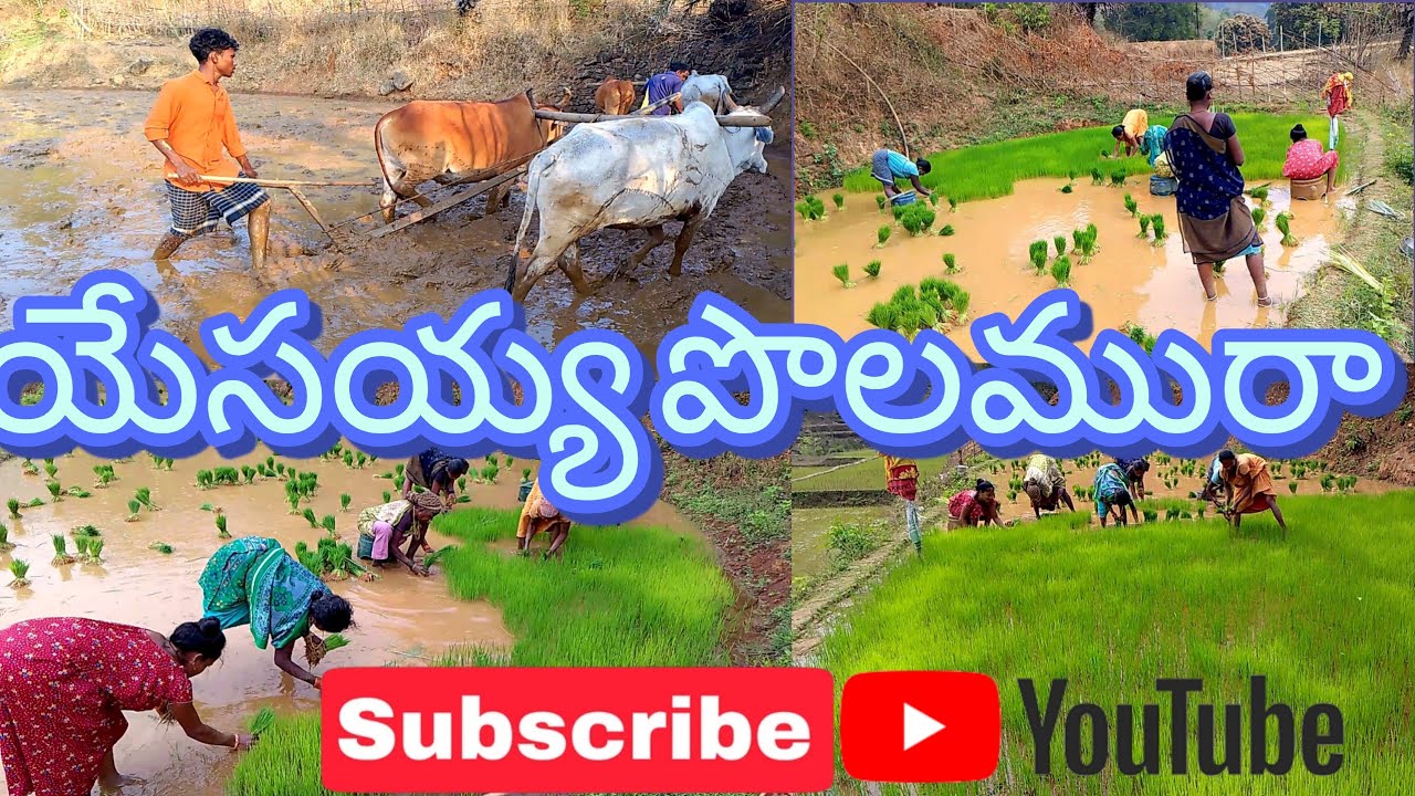 యేసయ్య పొలమురా -హృదయాన్ని తాకే క్రైస్తవ గీతం!Telugu chritian song