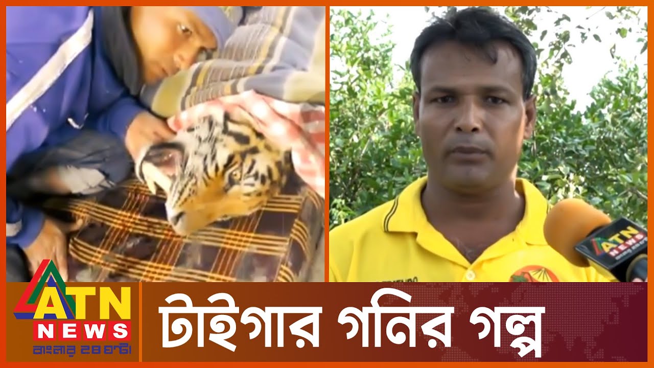 বাঘের আক্রমণে নি হ তদের ম'র'দে'হ উদ্ধার করেন যিনি | Tiger Gani | Sundarban | ATN News