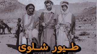 من هم طيور شلوى وما هي قصتهم   ؟