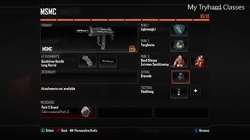 Bo2:Tryhard Classes🔥🔥🔥🔥🔥