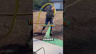 Ganan $30 por hora 😱 ¡El trabajo más satisfactorio!