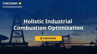Holistic Industrial Combustion Optimization