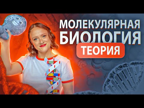 Молекулярная биология. Теория для ЕГЭ-2023