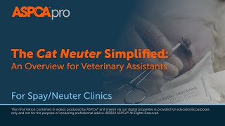 Spayneuter Surgery The Cat Neuter Simplified - An Overview For Veterinary Istants