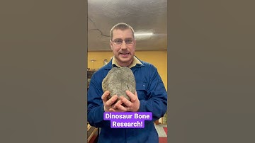 Great Dinosaur Bone Research!