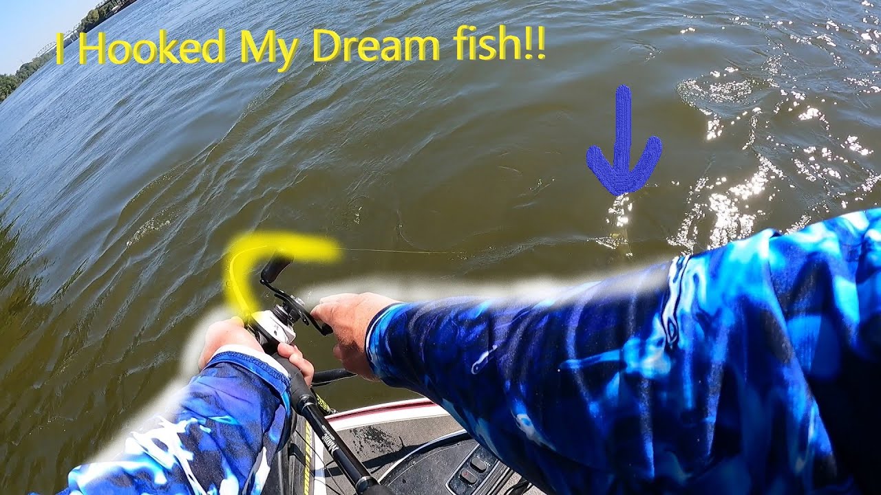 Cumberland River Smallmouth Fishing/I HOOKED THE BIGGEST SMALLMOUTH IN