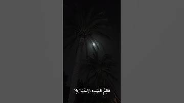 ما تيسر من سورة الحشر/ م. محمد شعبان #2 #شِعب #سورة_الحشر  #قرآن  #اكسبلور