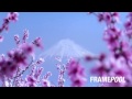 Framepool stock footage collection