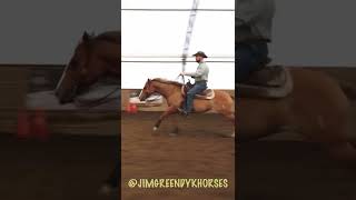 Have You Ever Seen A Horse Stop Like This? 