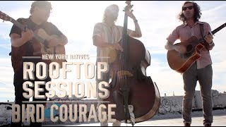 Rooftop Sessions: Bird Courage - Don't Look Back