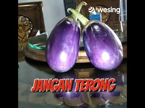 JANGAN TERONG LANGGAM JADUL