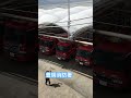 豊明消防署#消防車#救急車#ポンプ車#はしご車#消防指揮車#消防署#消防署見学#shorts