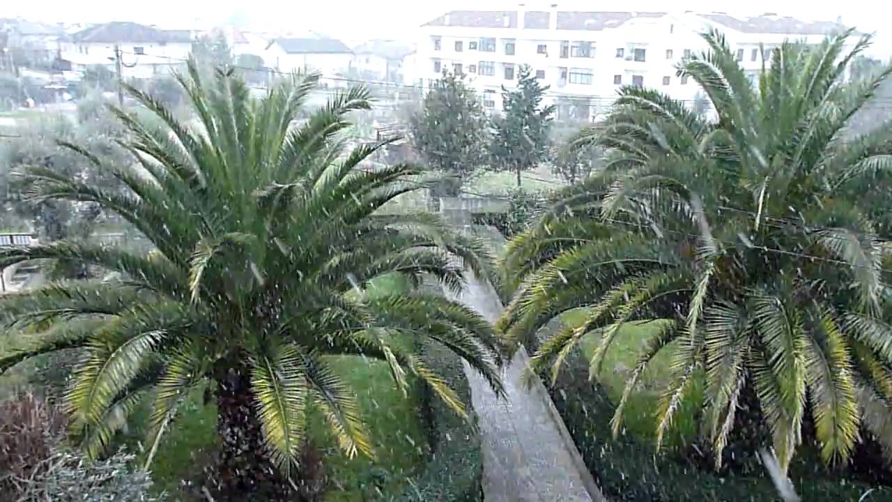 Neve Viseu 10-01-2010