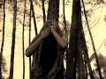 Contigo en la Distancia - Caetano Veloso