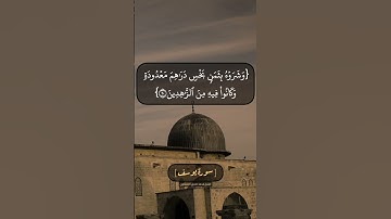 سورة يوسف الآية ١٩ و ٢٠ بصوت الشيخ محمد صديق المنشاوي